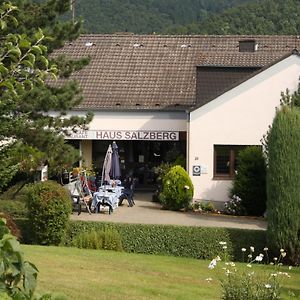 Hotel Haus Salzberg Garni